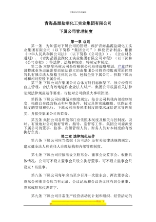 21下属公司管理制度