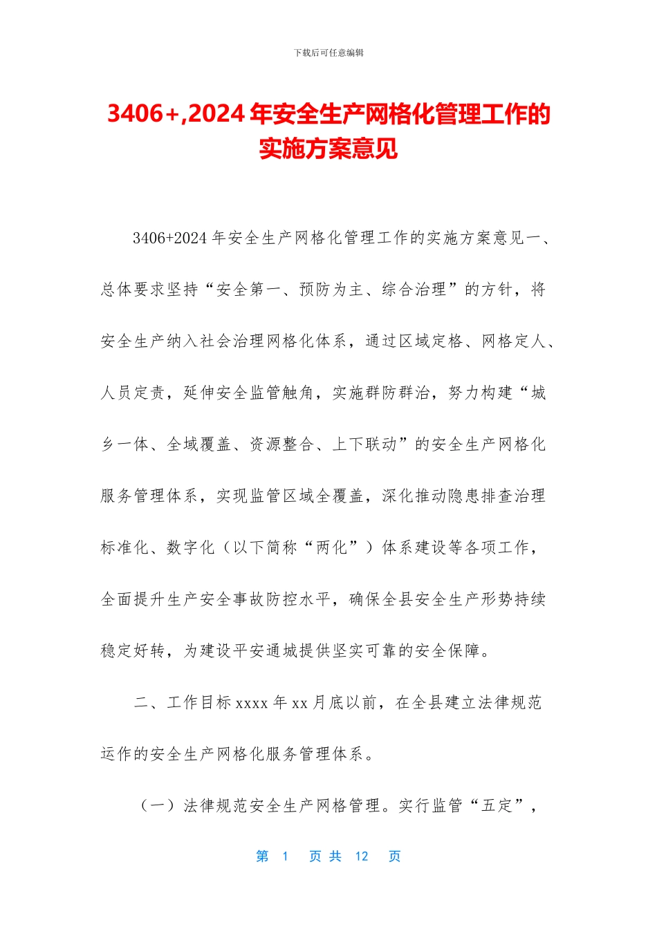 3406+-2024年安全生产网格化管理工作的实施方案意见_第1页