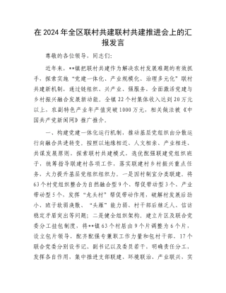 在2024年全区联村共建联村共建推进会上的汇报发言