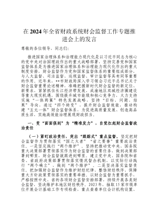 在2024年全省财政系统财会监督工作专题推进会上的发言