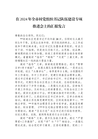 在2024年全市村党组织书记队伍建设专项推进会上的汇报发言