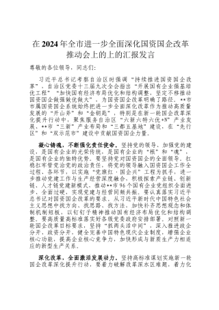 在2024年全市进一步全面深化国资国企改革推动会上的上的汇报发言