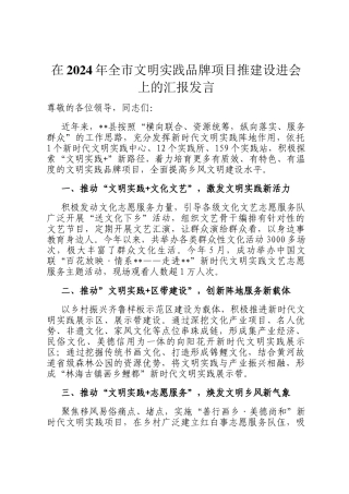 在2024年全市文明实践品牌项目推建设进会上的汇报发言