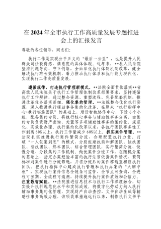 在2024年全市执行工作高质量发展专题推进会上的汇报发言