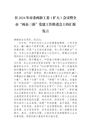 在2024年市委两新工委（扩大）会议暨全市“两企三新”党建工作推进会上的汇报发言