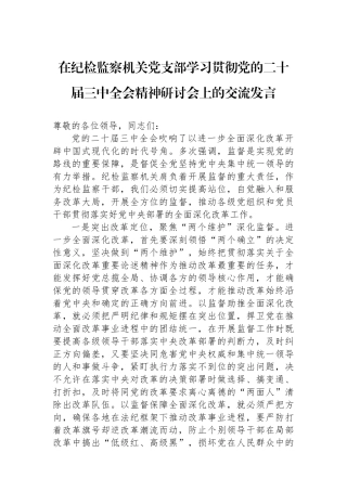 在纪检监察机关党支部学习贯彻党的二十届三中全会精神研讨会上的交流发言