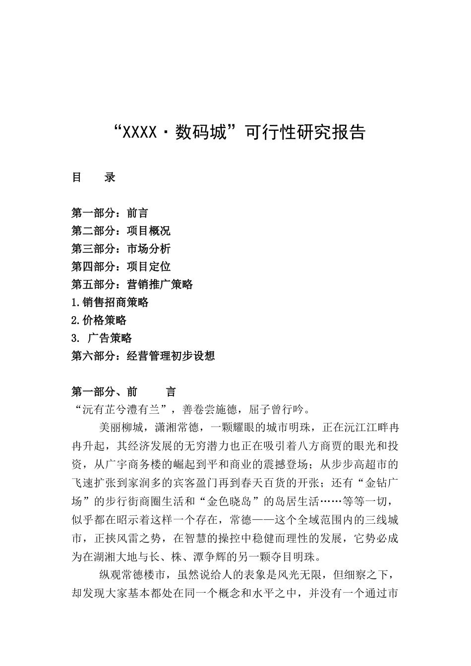 “XX数码城”可行性研究报告_第1页