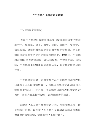 “小天鹅”飞腾计划企划案
