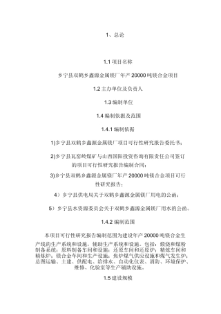 20000吨镁合金项目可研报告