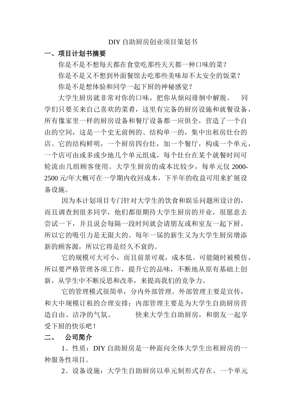 DIY自助厨房创业项目策划书_第1页