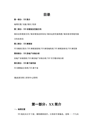 XXXX滩项目研究报告