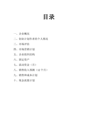定忆摄影工作室-创业计划