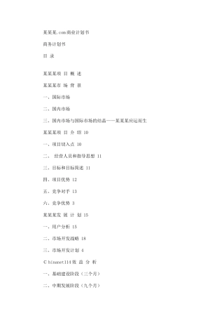 某某某网站商业计划书