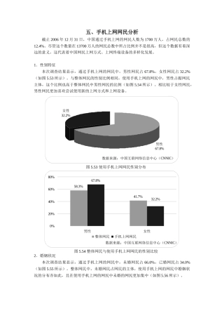 中国互联网络发展状况统计报告二