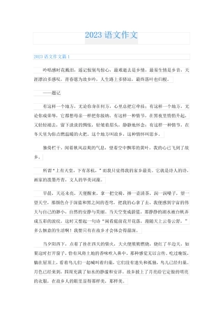 2023语文作文