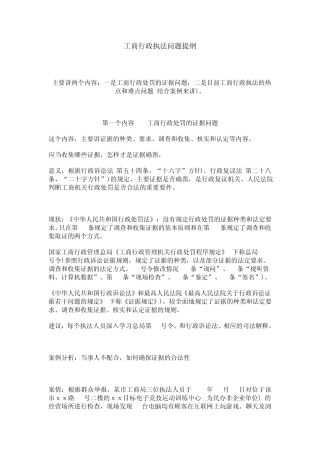 工商行政执法问题提纲