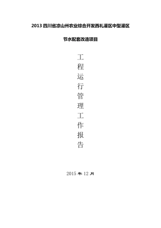 工程运行管理报告