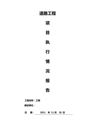 工程项目执行情况报告