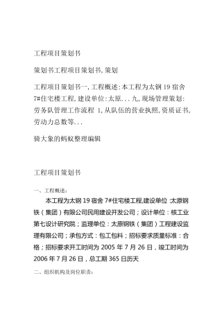 工程项目策划书