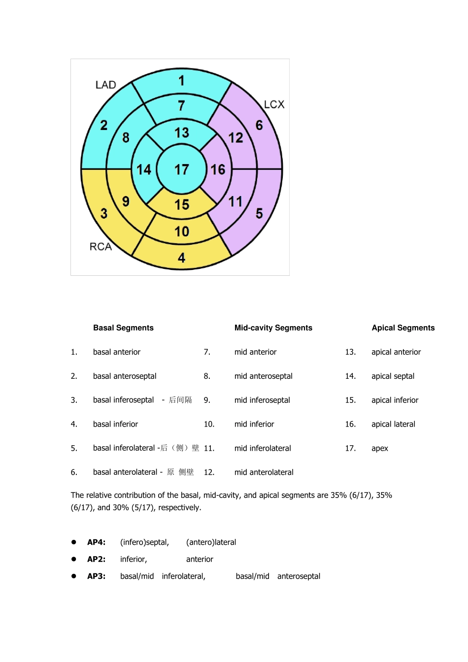 左室17节段分法_第3页