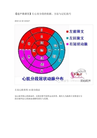 左室壁阶段划分