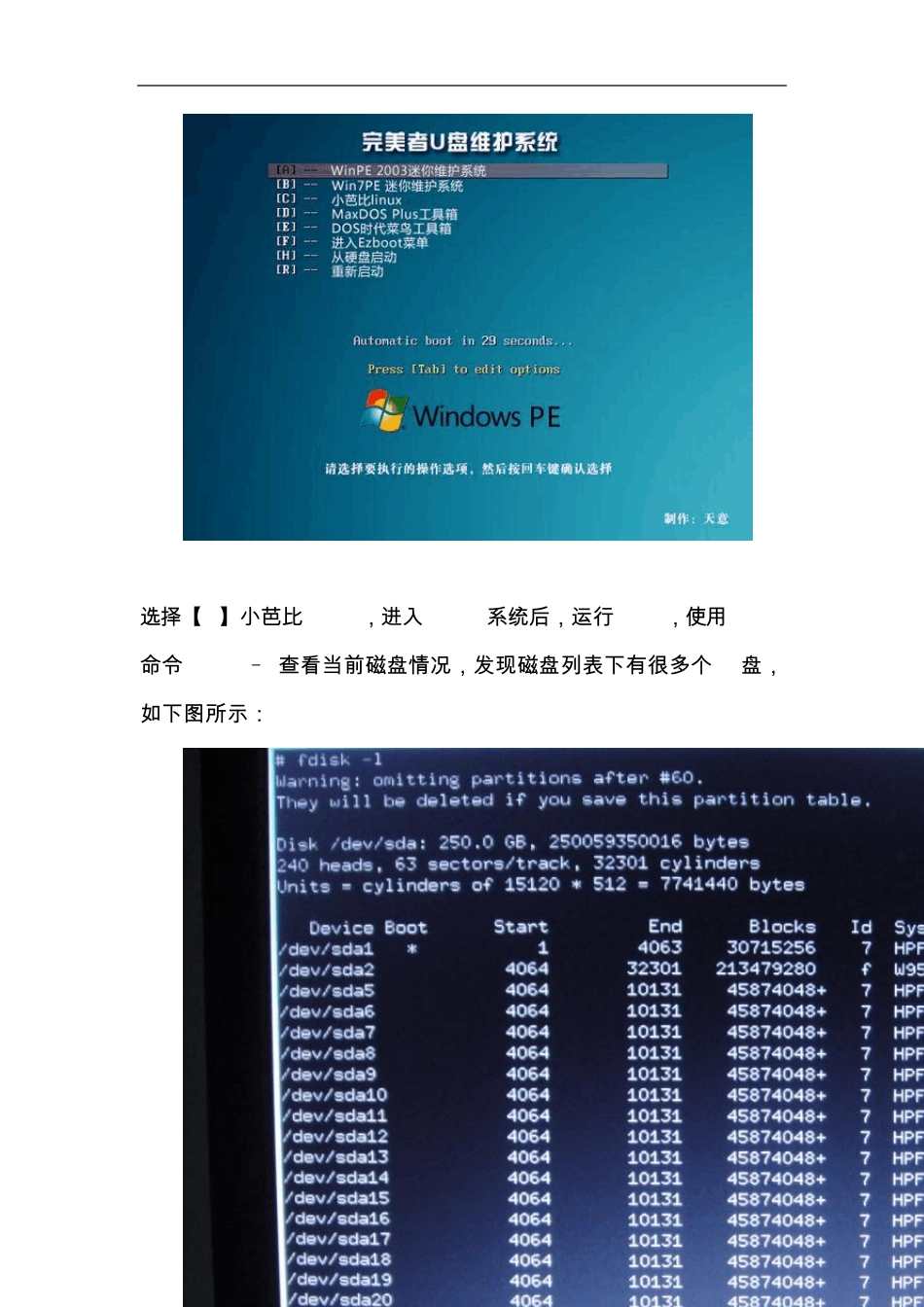 巧用Linux解决“硬盘逻辑锁”问题_第3页