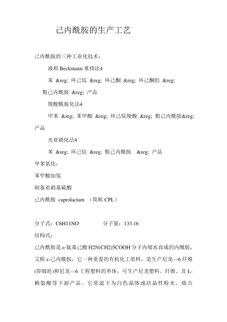 己内酰胺的生产工艺