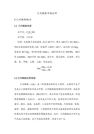 己内酰胺调研报告