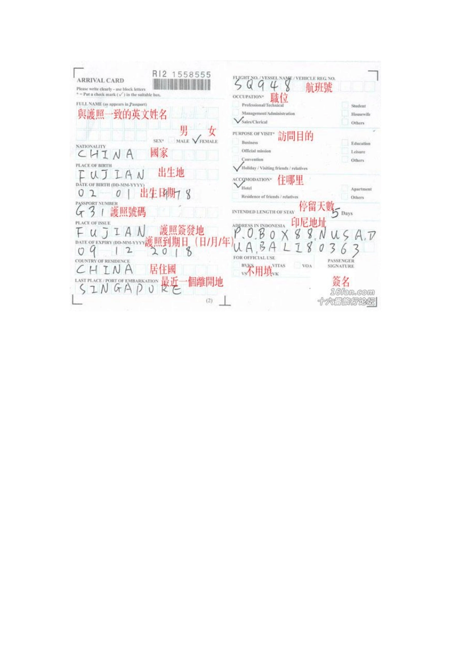 巴厘岛入境流程_第3页