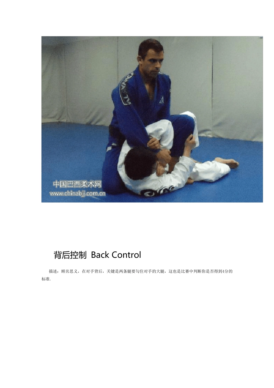 巴西柔术基础动作图文_第2页