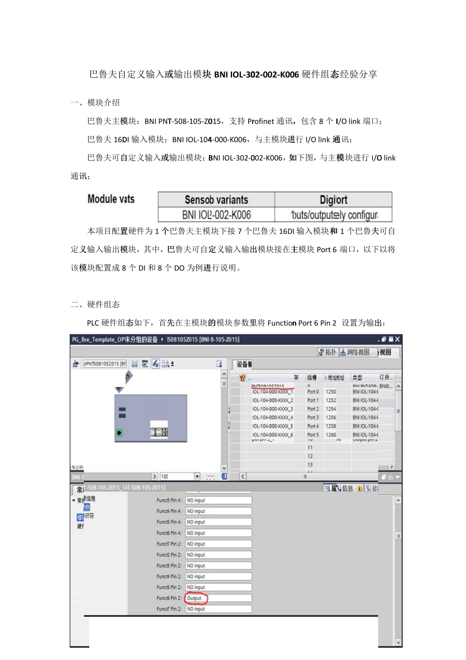 巴鲁夫输入输出模块BNIIOL302002K006硬件组态经验分享_第1页