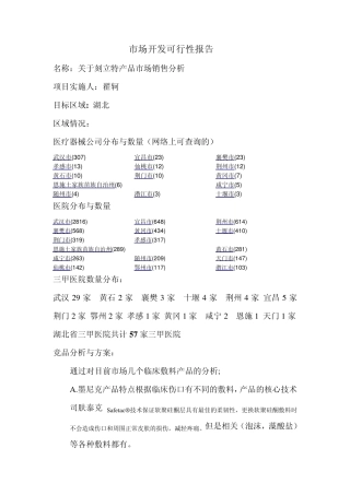 市场开发可行性报告