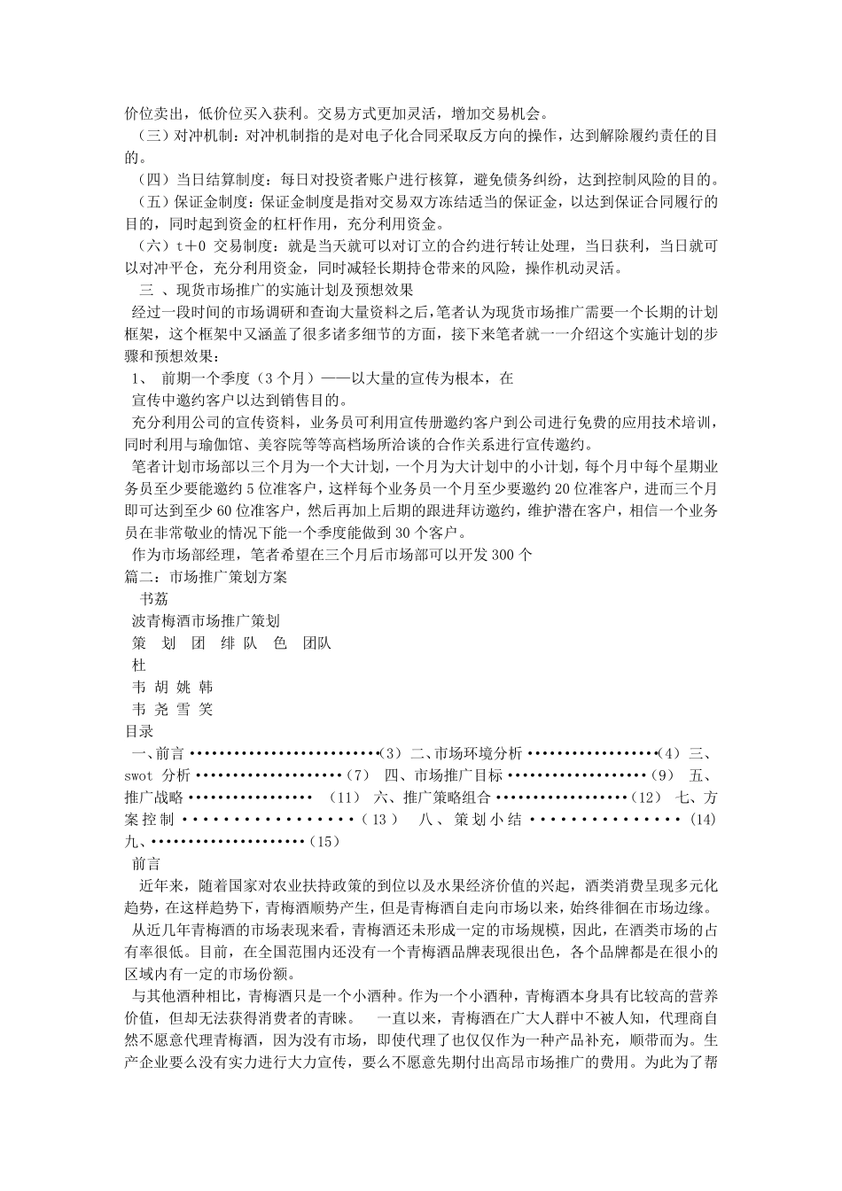 市场推广计划书_第2页