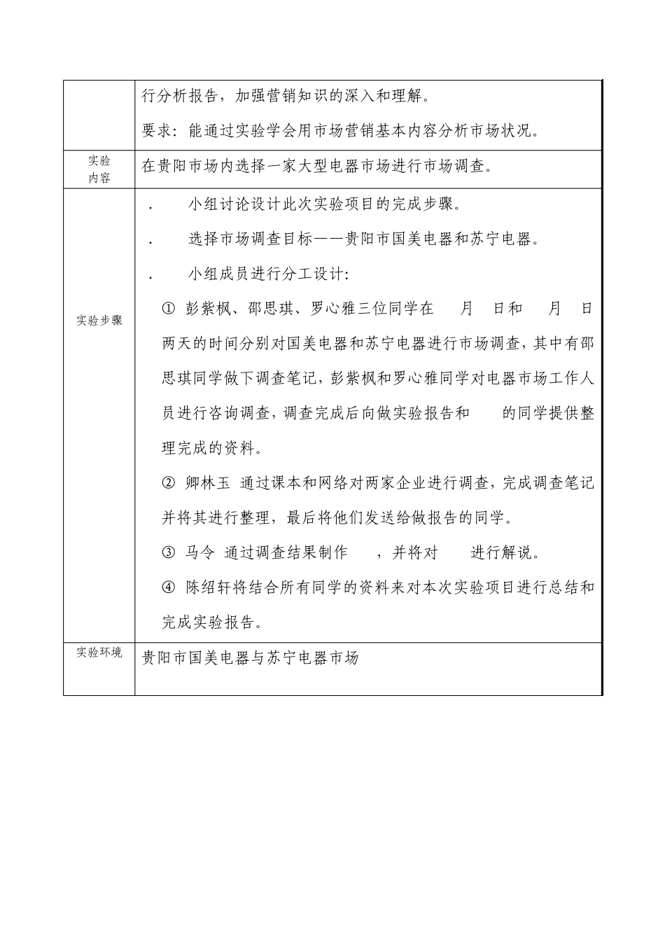 市场营销实践报告_第2页