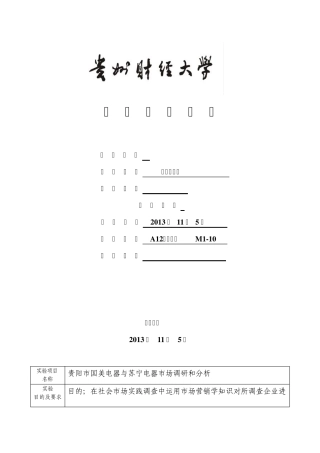 市场营销实践报告