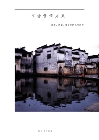 市场营销方案(茶叶)