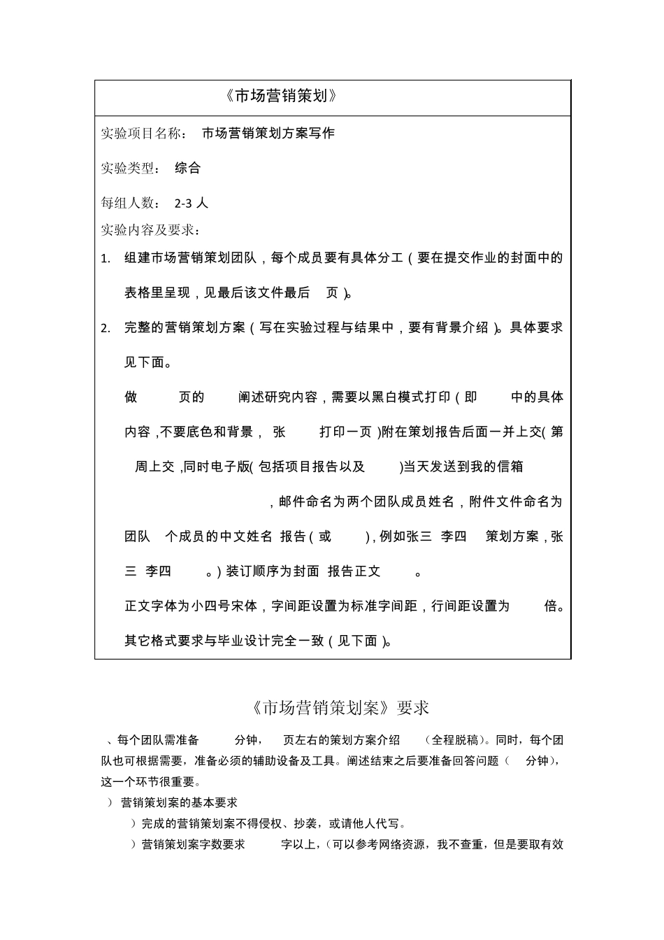 市场营销策划格式要求_第1页