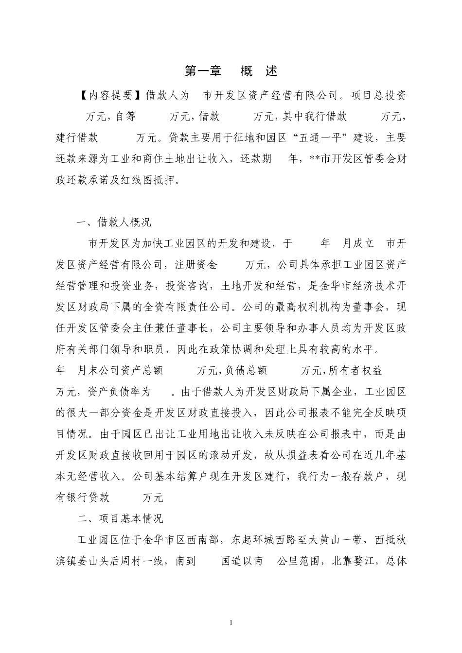 市工业园区南区项目贷款评估报告_第1页