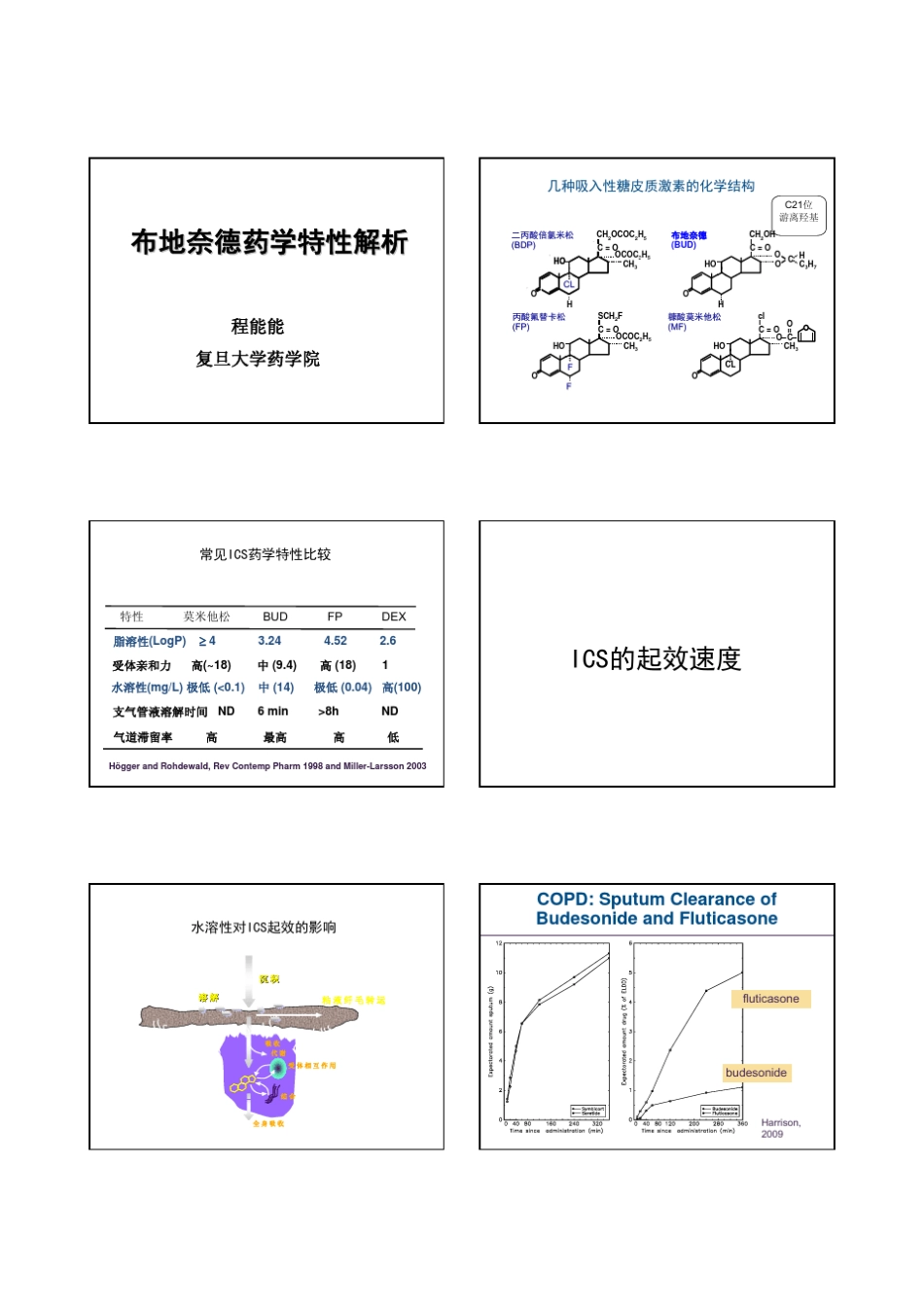 布地奈德药学特性解析_第1页