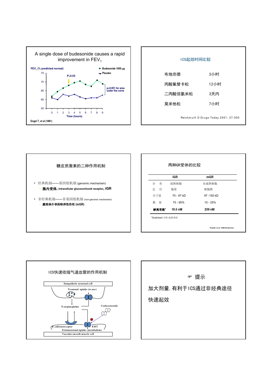 布地奈德药学特性解析_第2页