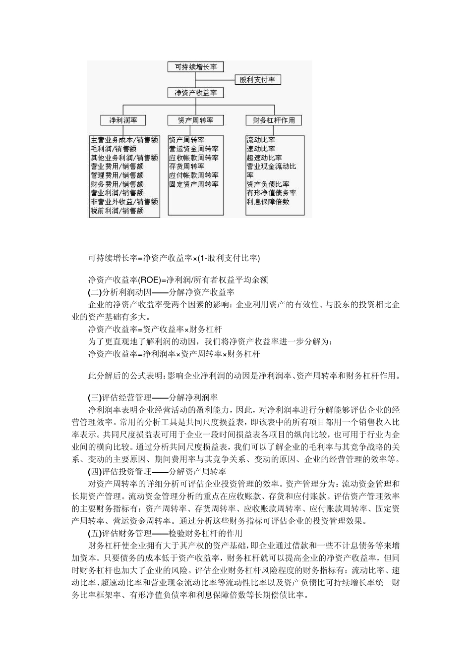 帕利普财务分析体系_第2页