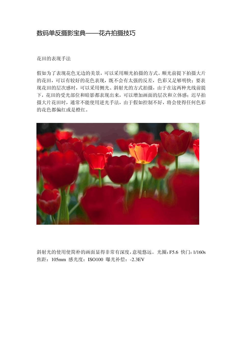 数码单反摄影宝典——花卉拍摄技巧_第1页