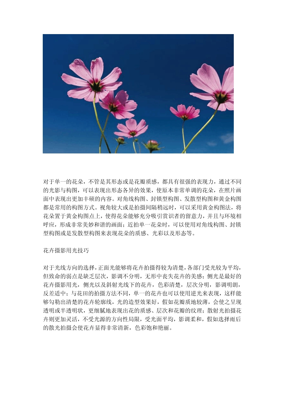 数码单反摄影宝典——花卉拍摄技巧_第3页