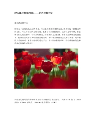 数码单反摄影宝典——花卉拍摄技巧