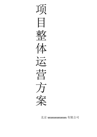 整体商业运营方案