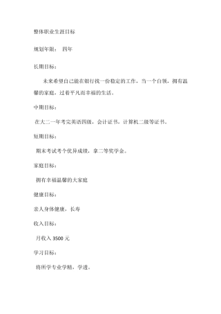 整体职业生涯目标