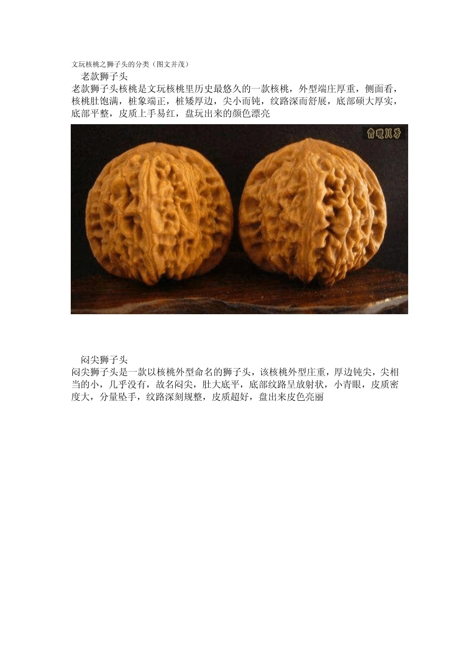 文玩核桃之狮子头的分类(图文并茂)_第1页