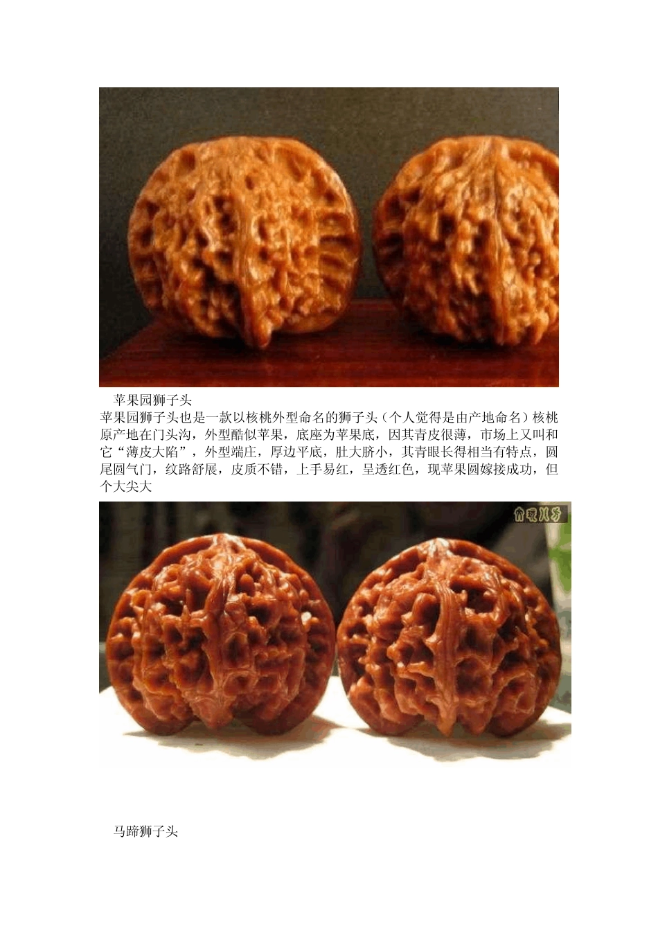 文玩核桃之狮子头的分类(图文并茂)_第2页