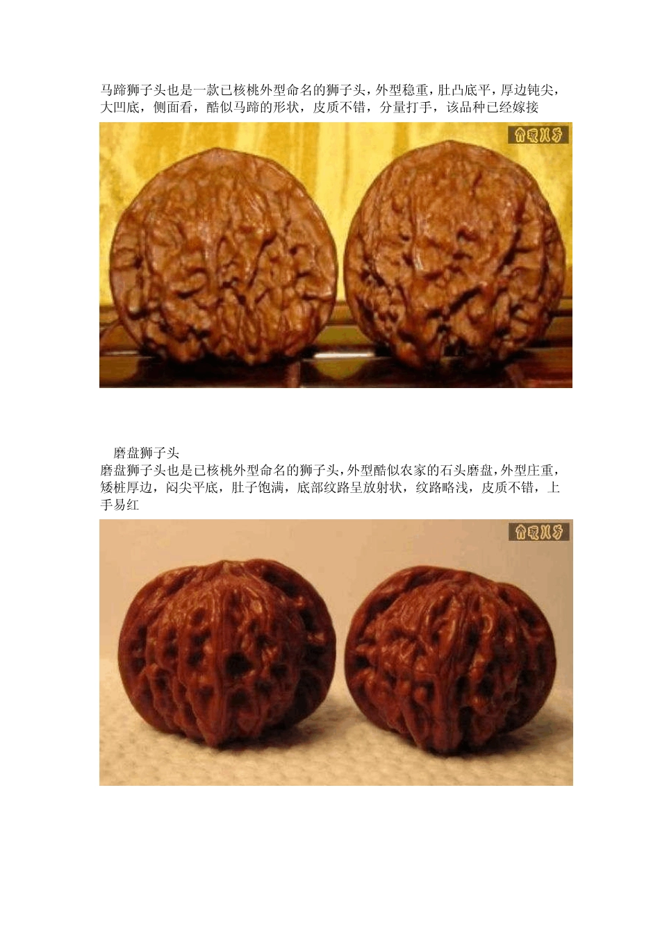 文玩核桃之狮子头的分类(图文并茂)_第3页