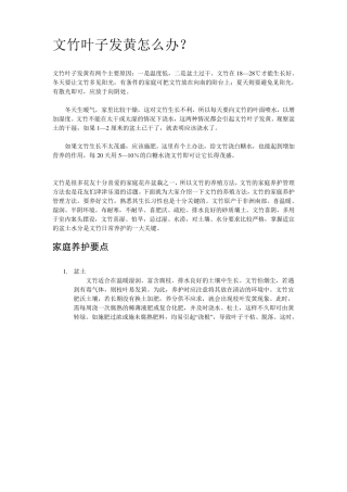 文竹的养殖方法